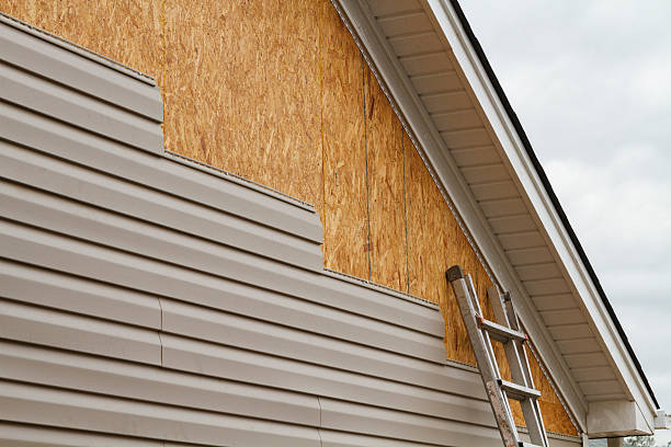 Professional Wood Siding technician working in Collins, OH